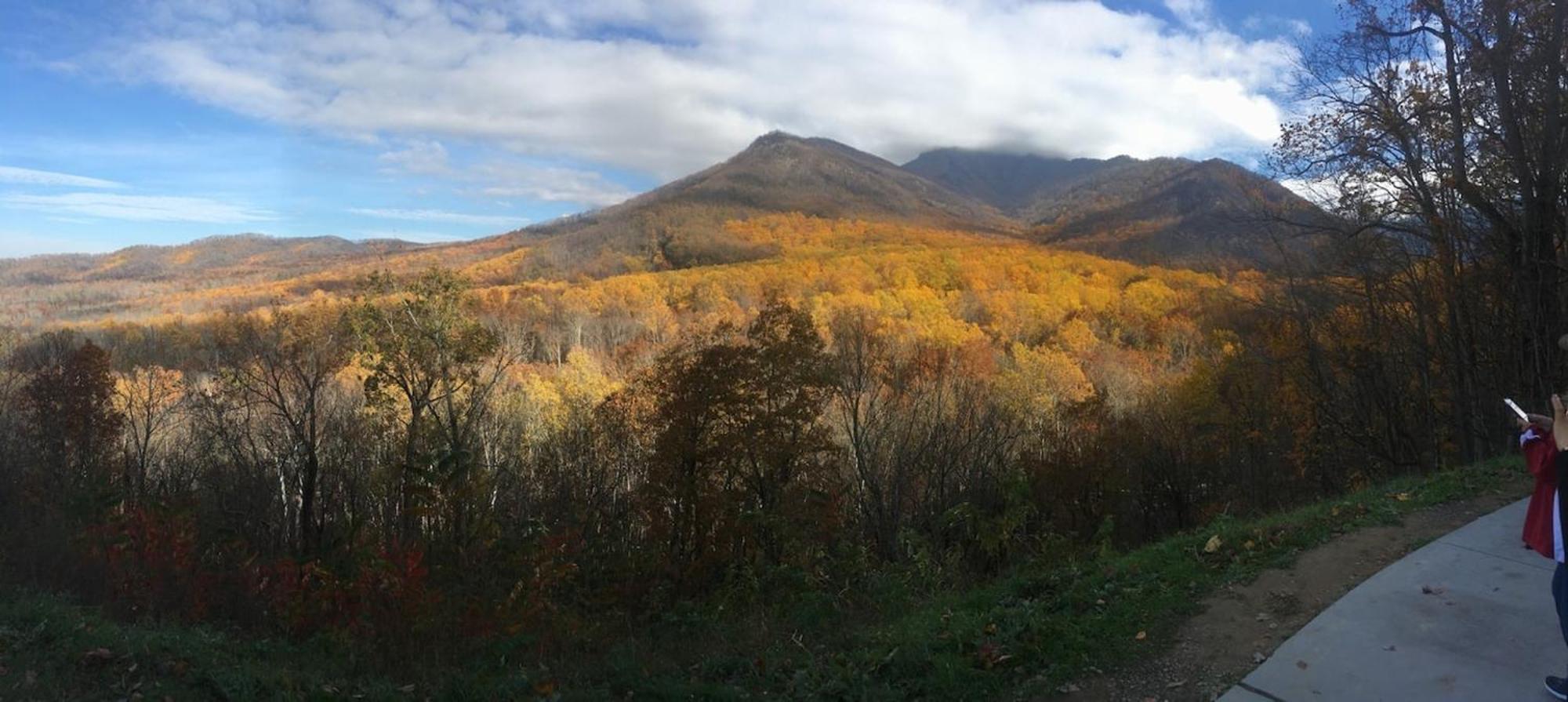 Serene Mountain And Sunset Views 3Bd Cabin Franklin Eksteriør billede